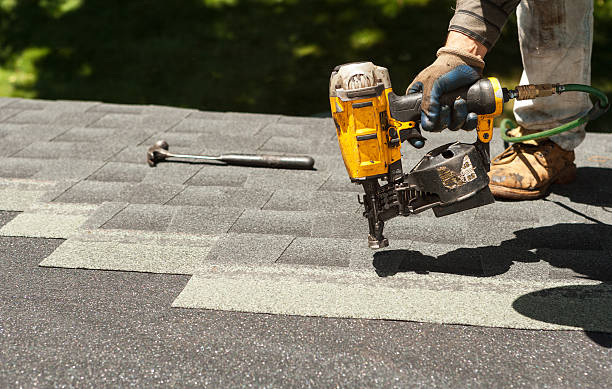 Best Storm Damage Roof Repair  in Princess Anne, MD
